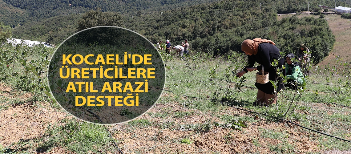 Kocaeli'de üreticilere atıl arazi desteği