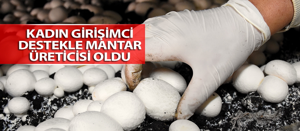 Kadın girişimci destekle mantar üreticisi oldu