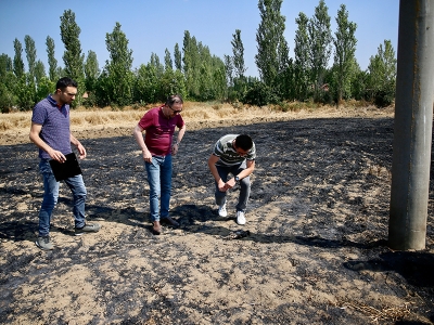 Atmaca Eskişehir'de yangına sebep oldu
