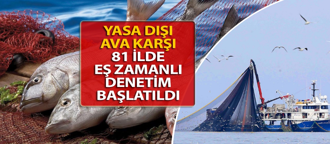 Yasa dışı ava karşı 81 ilde eş zamanlı denetim başlatıldı