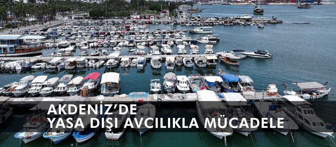 Akdeniz’de yasa dışı avcılıkla mücadele