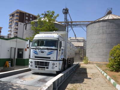 TMO Muş’ta hububat alımına başladı