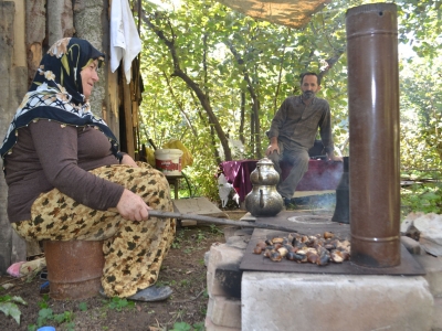 İnegöl’de kestane hasadı b aşladı