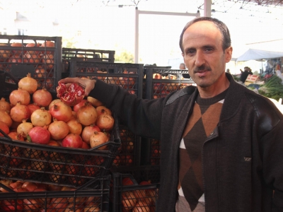 Zivzik narına yoğun ilgi