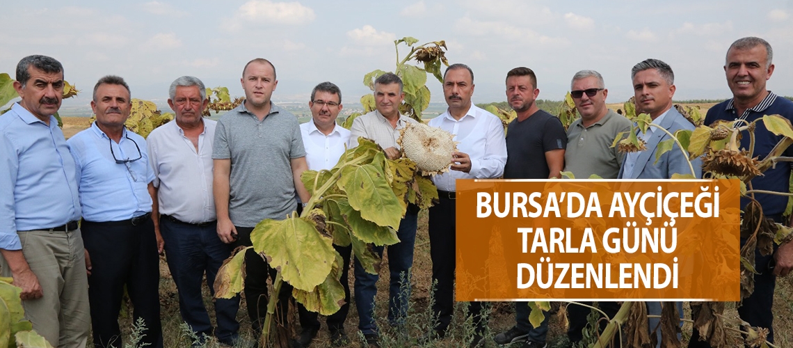 Bursa’da ayçiçeği tarla günü düzenlendi