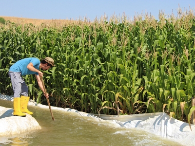 Atıl arazilerde üretim atağı