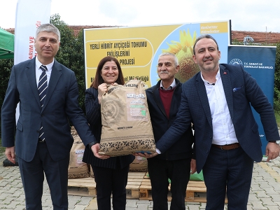 Tarlalar yerli ayçiçeğiyle dolacak