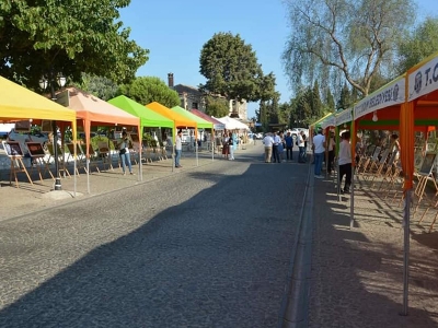 Tarım Orman ve İnsan Sergisi Apollon Tapınağı’nda yapıldı