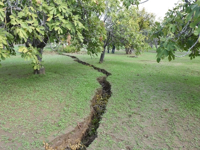 Aydın’da arazide oluşan yarıklar incelemeye alındı