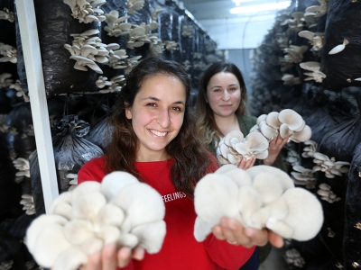 Genç Çiftçi Projesi ile tesis kurdu