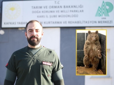 Yol kenarında bulunan yavru ayıya özel bakım