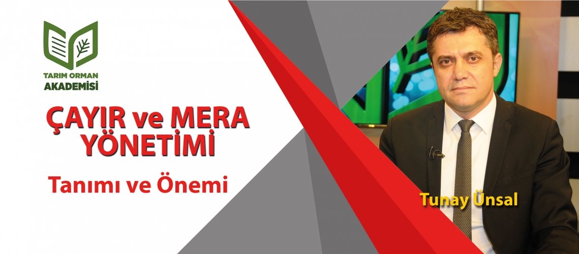 Çayır ve Mera Yönetimi - 1 (Tanımı ve Önemi)