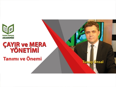 Çayır ve Mera Yönetimi - 1 (Tanımı ve Önemi)