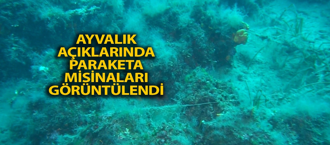 Ayvalık açıklarında paraketa misinaları görüntülendi