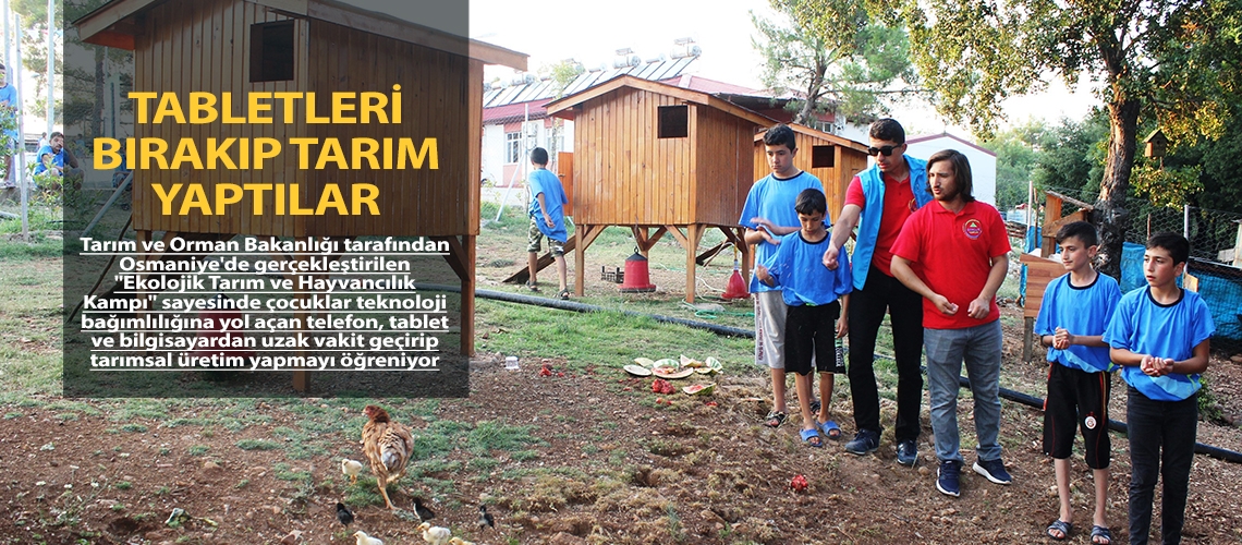 Tabletleri bırakıp tarım yaptılar