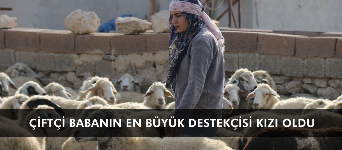 Çiftçi babanın en büyük destekçisi kızı oldu