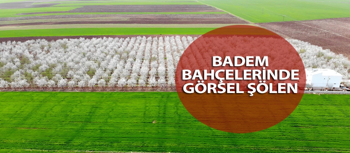 Badem bahçelerinde görsel şölen