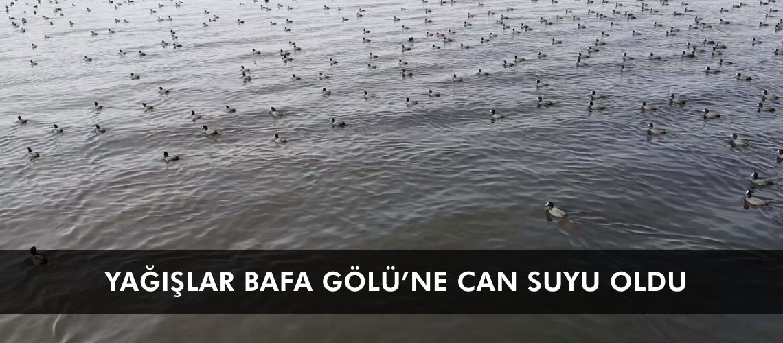 Yağışlar Bafa Gölü’ne can suyu oldu