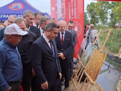 Bafra Ovası'nda ‘Çeltik Hasat Günü’ düzenlendi