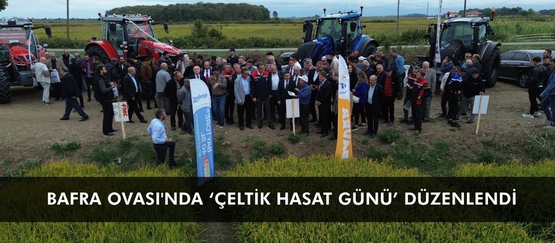 Bafra Ovası'nda ‘Çeltik Hasat Günü’ düzenlendi