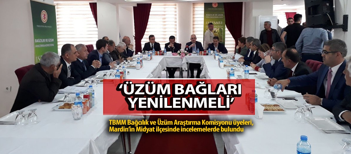 ‘Üzüm bağları yenilenmeli’