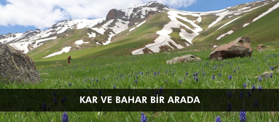 Kar ve bahar bir arada