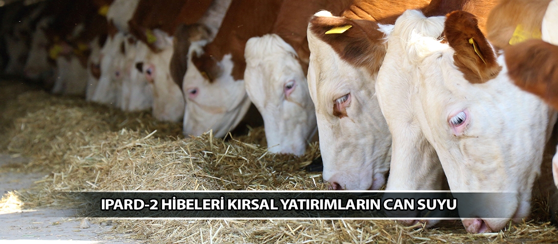 IPARD-2 hibeleri kırsal yatırımların can suyu