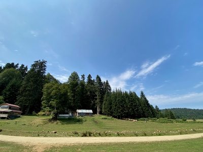 IPARD-2 hibeleri kırsal yatırımların can suyu