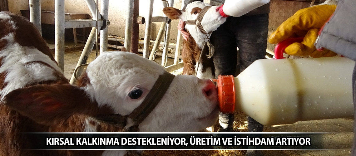 Kırsal kalkınma destekleniyor, üretim ve istihdam artıyor