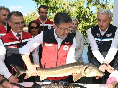 Bakan Yumaklı Bolu’da incelemelerde bulundu