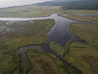Bakan Yumaklı'dan Dünya Sulak Alanlar Günü mesajı
