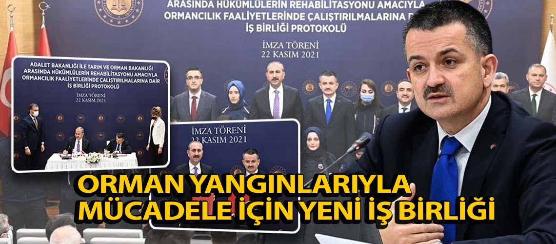 Orman yangınlarıyla mücadele için yeni iş birliği