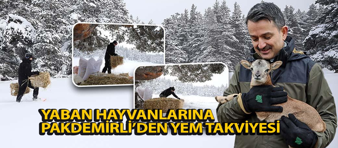 Yaban hayvanlarına Pakdemirli’den yem takviyesi