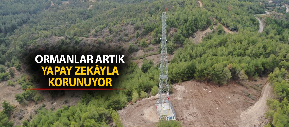 Ormanlar artık yapay zekâyla korunuyor