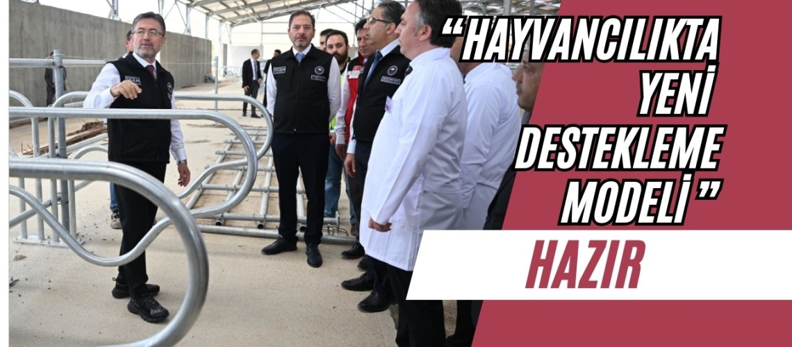 “Hayvancılıkta yeni destekleme modeli hazır”