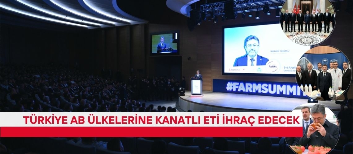 Türkiye AB ülkelerine kanatlı eti ihraç edecek