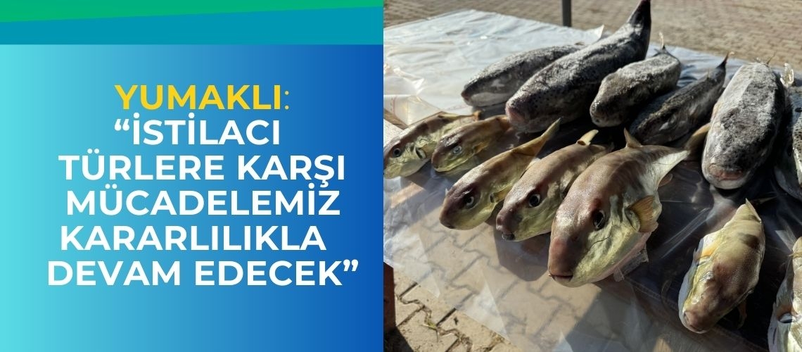 Yumaklı, “istilacı türlere karşı mücadelemiz kararlılıkla devam edecek”