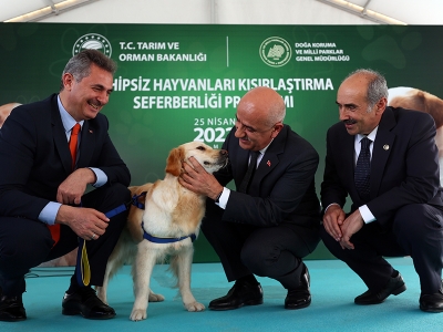 Sokak hayvanlarını ‘kısırlaştırma’ seferberliği