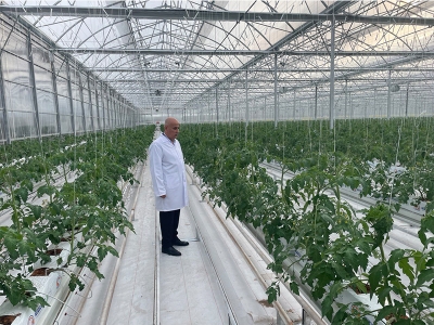 “Arzumuz modern seraların genişlemesi”