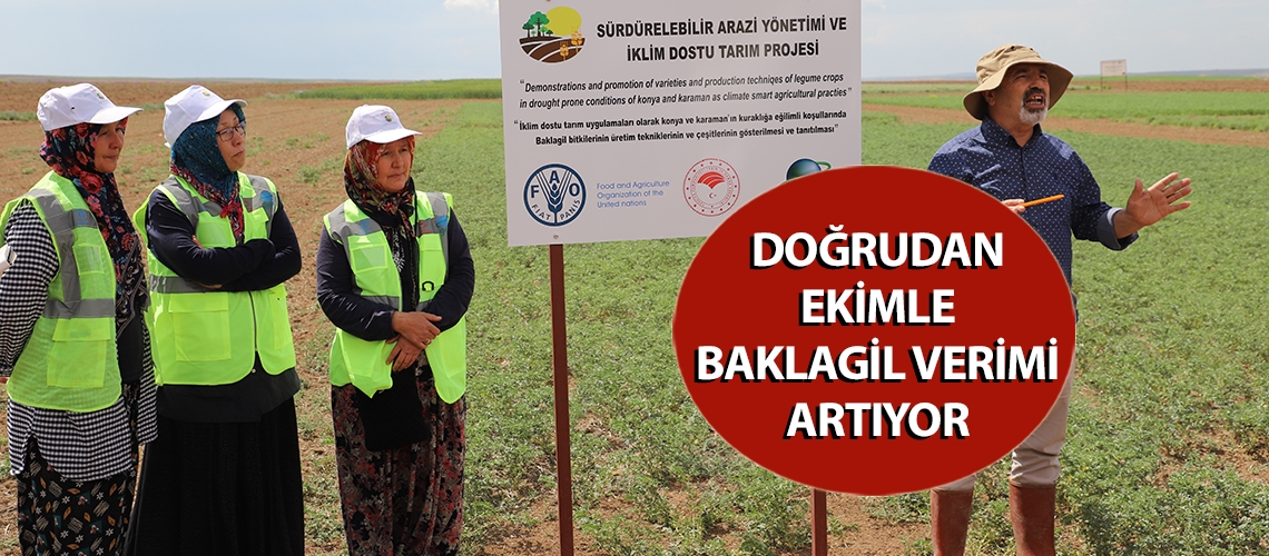 Doğrudan ekimle baklagil verimi artıyor