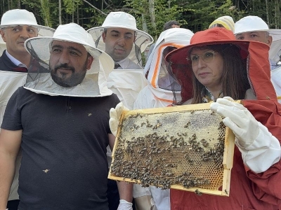 Bartın'da kestane balı hasadına başlandı