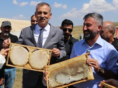 Geven balında 357 ton verim bekleniyor