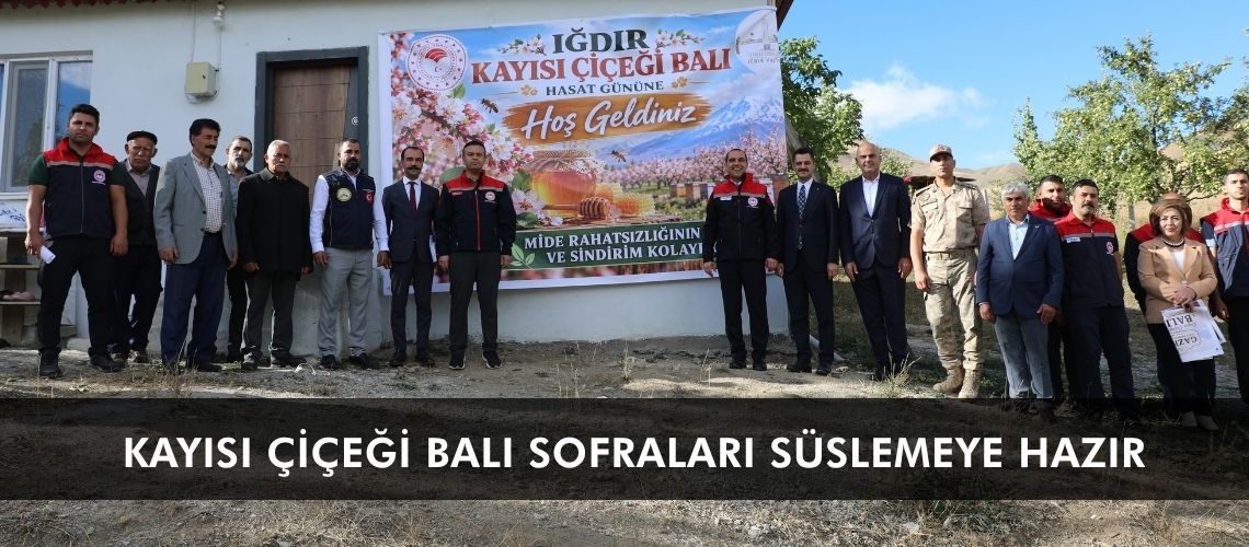 Kayısı çiçeği balı sofraları süslemeye hazır