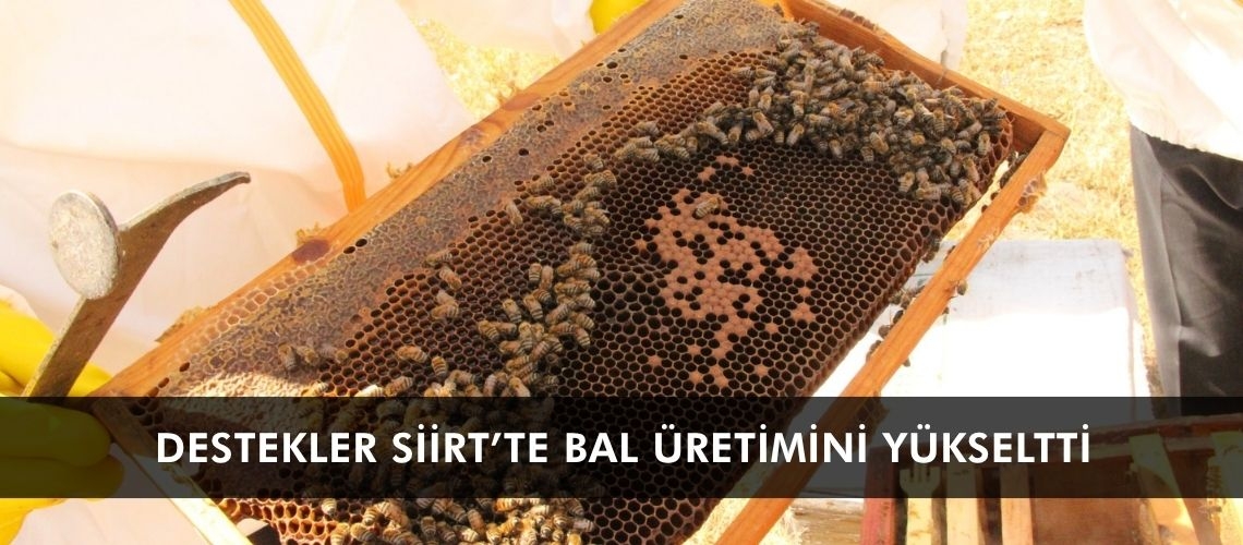 Destekler Siirt’te bal üretimini yükseltti