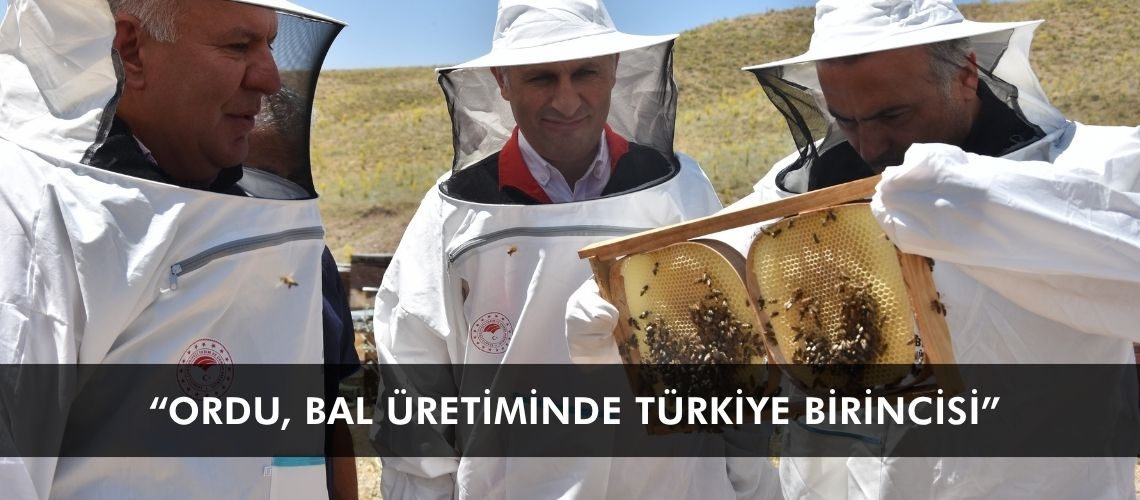 “Ordu, bal üretiminde Türkiye birincisi”