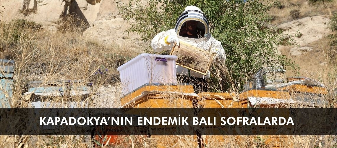 Kapadokya’nın endemik balı sofralarda