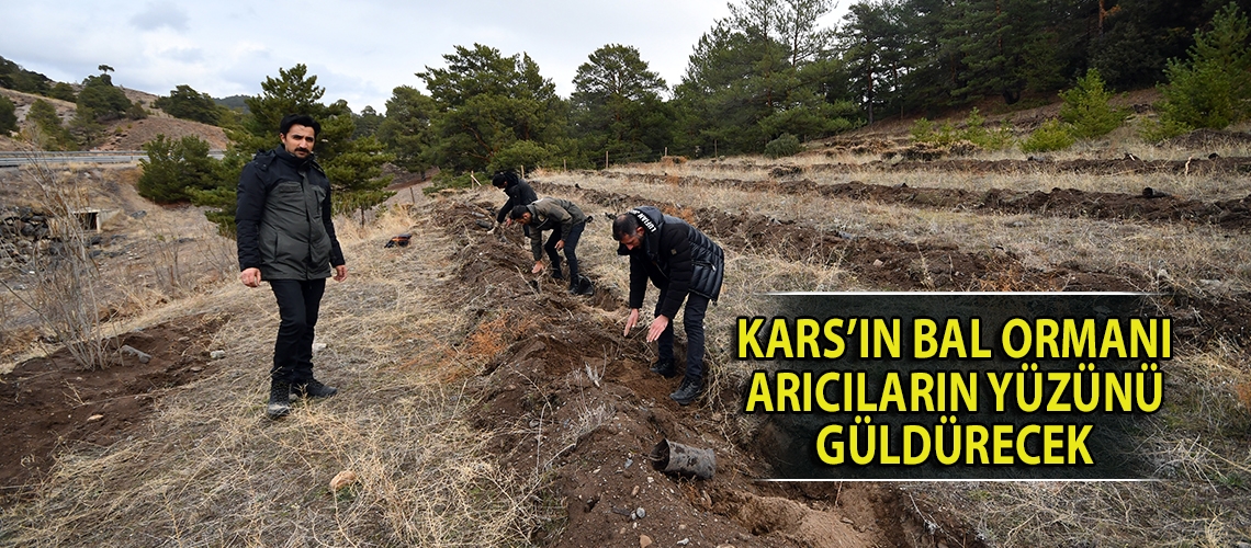 Kars’ın bal ormanı arıcıların yüzünü güldürecek