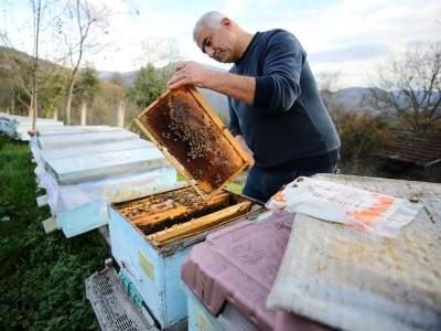 Tescilli ıhlamur balı markalaşma yolunda