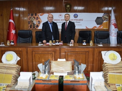 Ordu’da arı ıslah çalışmaları güçleniyor
