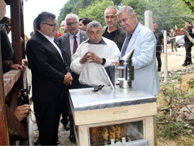 Bal ormanları üretimi artırıyor